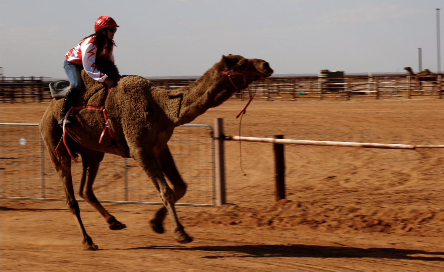 Camel Cup in Marree Austrlia 2019 – مسابقات شتر سواری در استرالیا